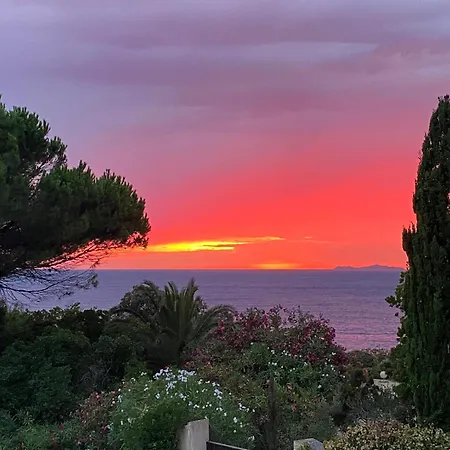 Vue Mer, Piscine Et A Pied - 9 Pers * Coti-Chiavari (Corsica)