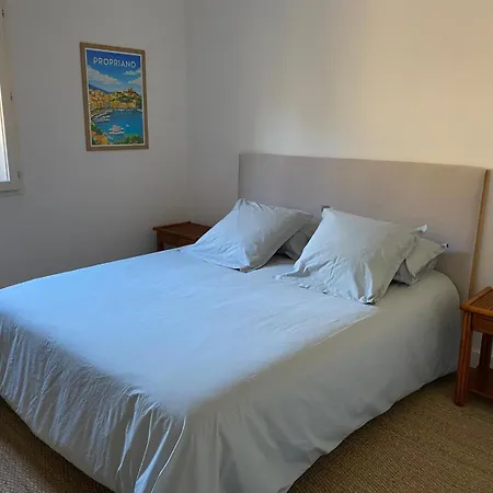 Vue Mer, Piscine Et A Pied - 9 Pers * Coti-Chiavari (Corsica)