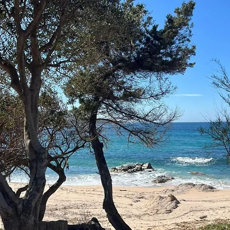 Vue Mer, Piscine Et A Pied - 9 Pers Villa Coti-Chiavari (Corsica)